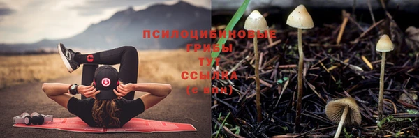 винт Вязьма