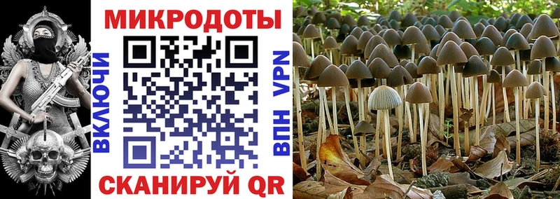 Псилоцибиновые грибы Psilocybe  продажа наркотиков  blacksprut как зайти  Заполярный 